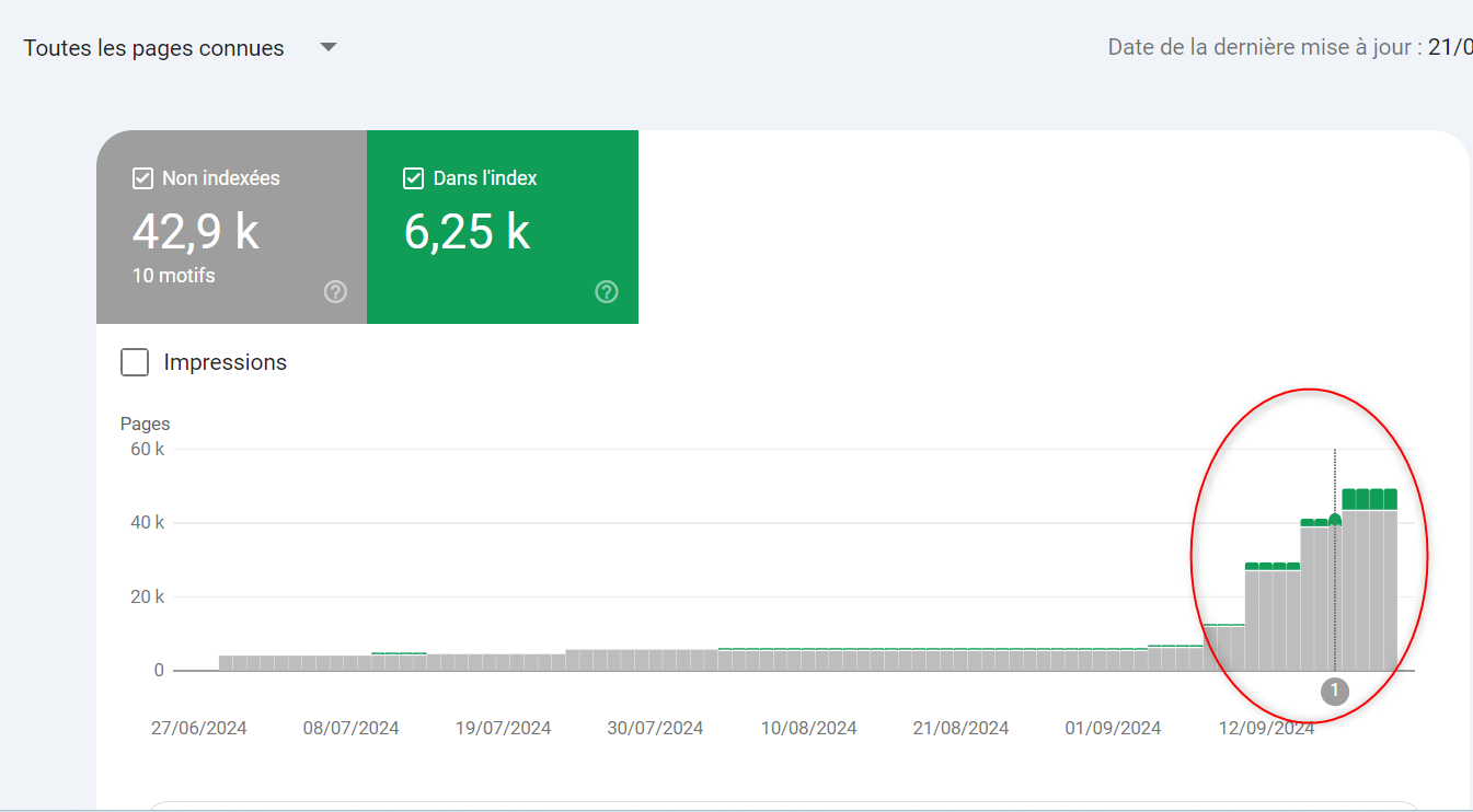 Rapport indexation des  des pages Google Search Console