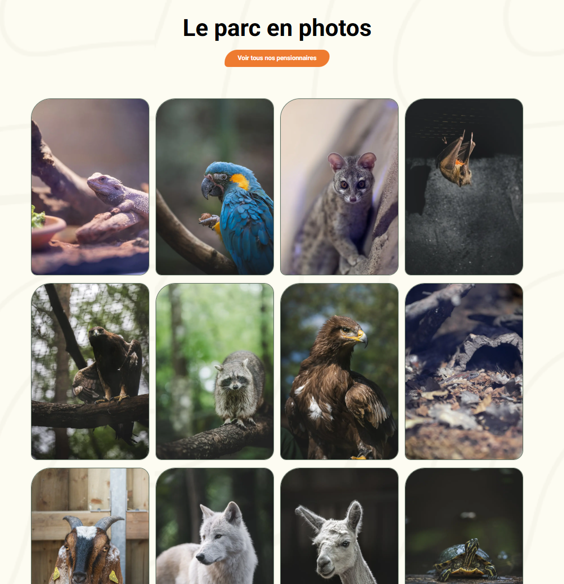Photos immersive parc animalier Photos immersive parc animalier